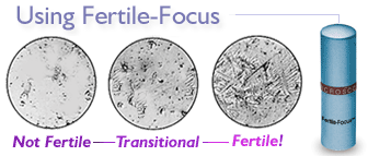 Using Fertile-Focus